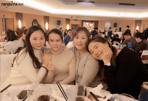 上海球盟会(中国)信息技术有限公司,球盟会(中国)数据,球盟会(中国),tendata,滕道数据,上海滕道,滕道官网